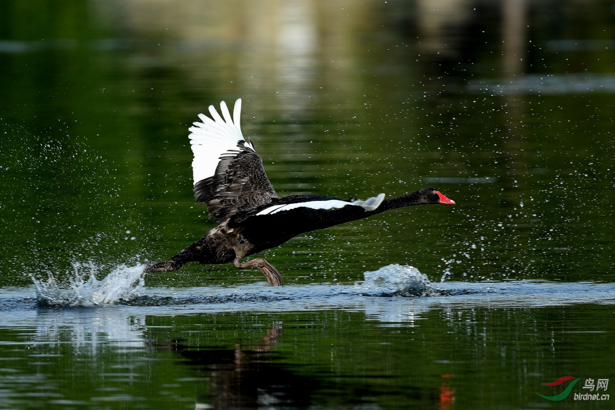 DSC_5810_00001.jpg
