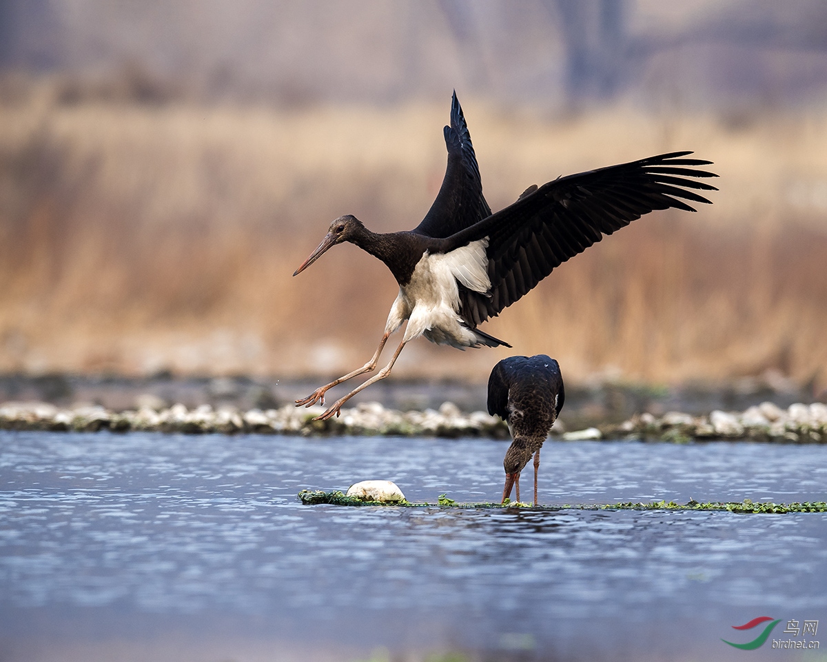 _DSC1285--����-09-29A-T.jpg
