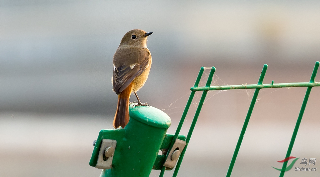 2019.9.28��Ӫʪ�� 1113.jpg