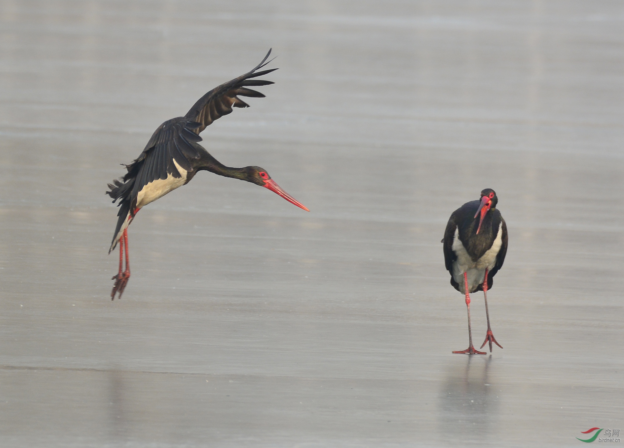 ������Ӱ 986����.jpg