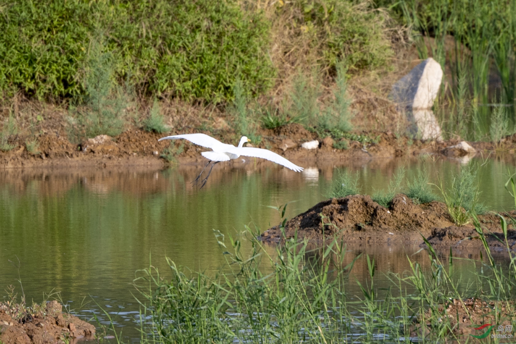 D50_1814.jpg