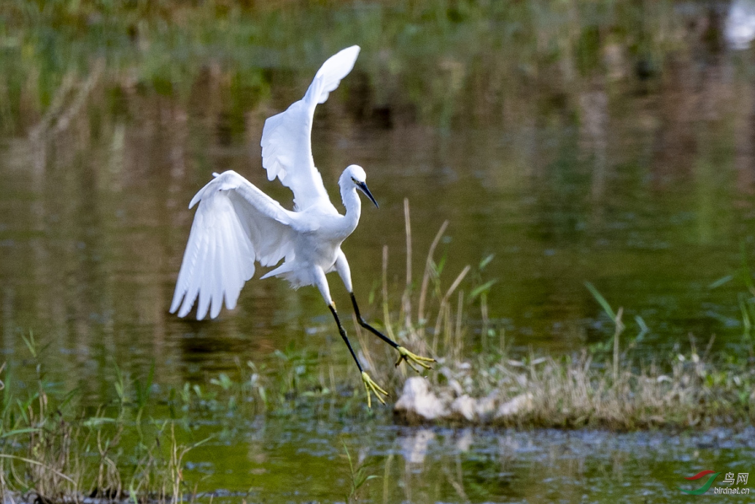 D50_2849.jpg