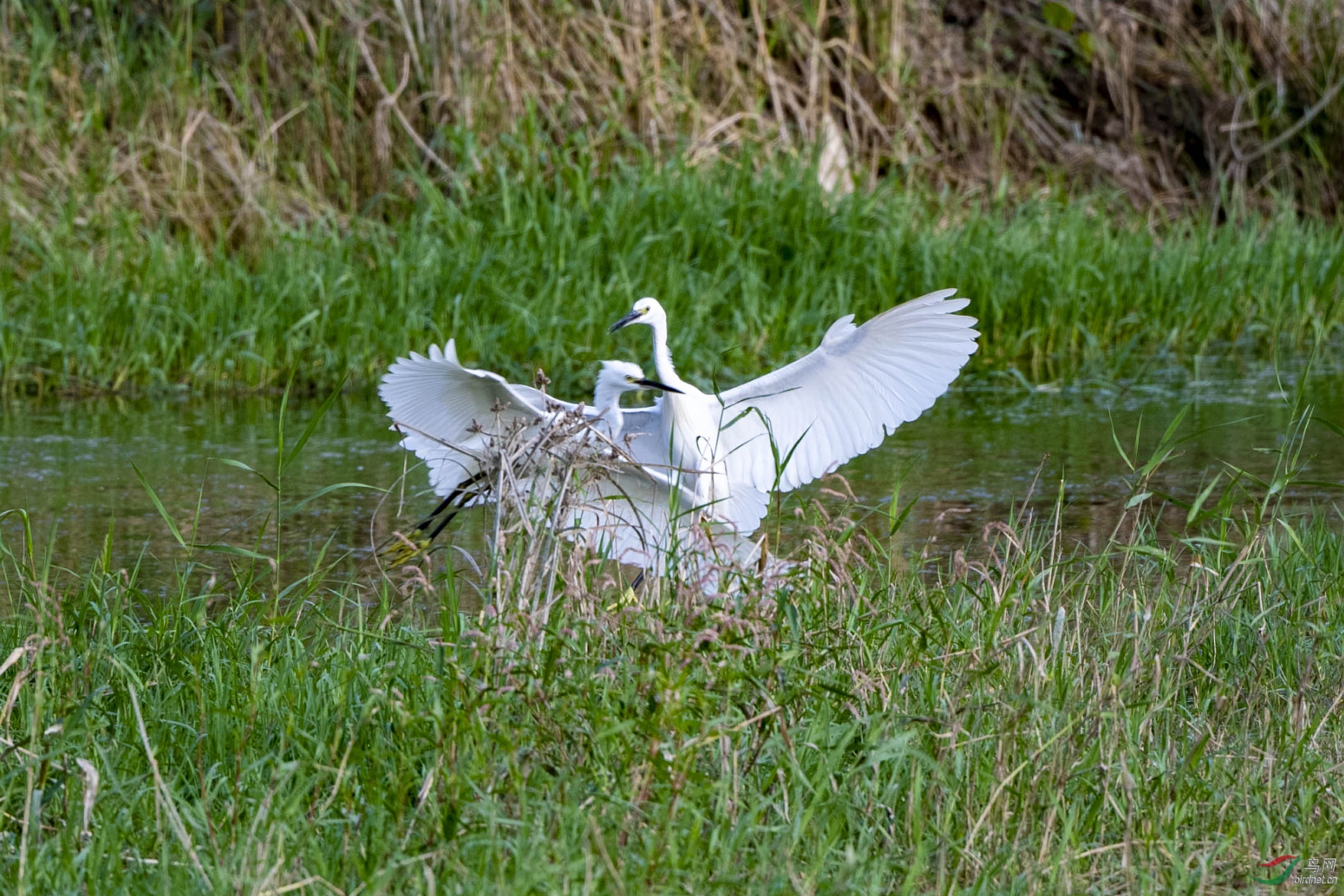 D50_2847.jpg
