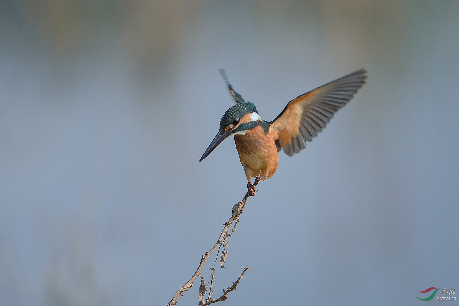 DSC_5624.jpg