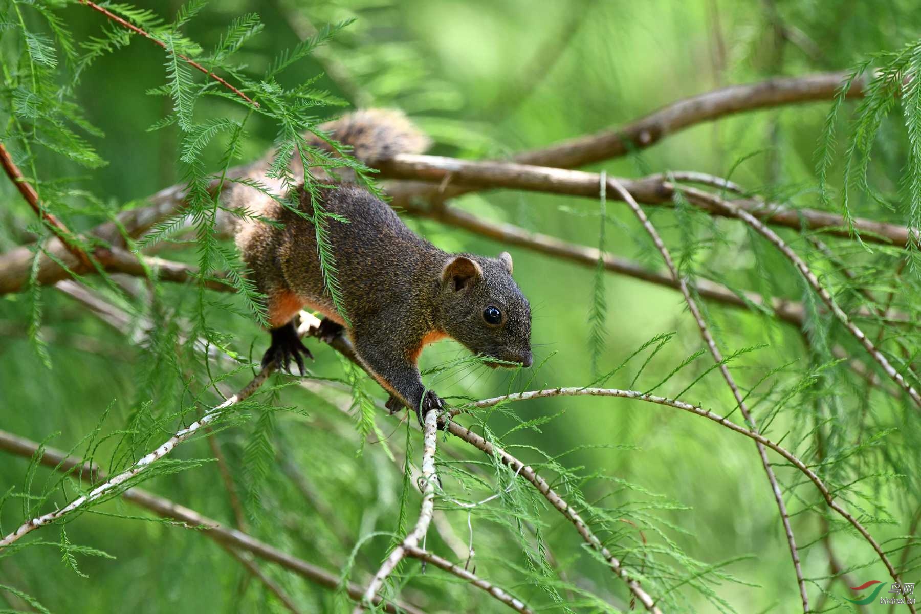 DSC_5269_����_����.jpg