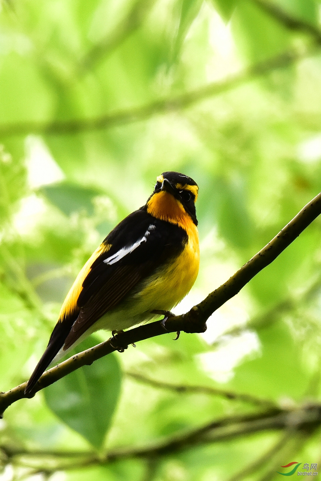 DSC_1179.JPG