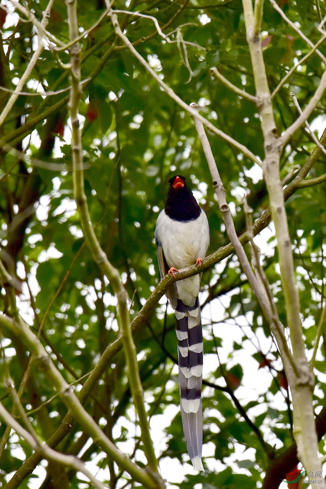 DSC_0409.JPG