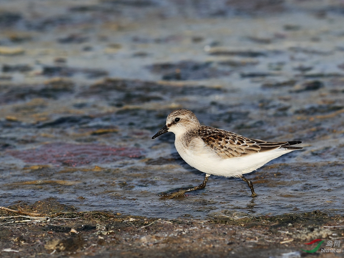 20190923 (28)_����.jpg