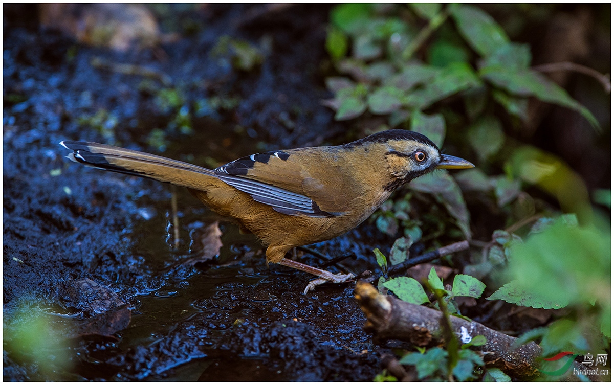 DSC_2357.jpg