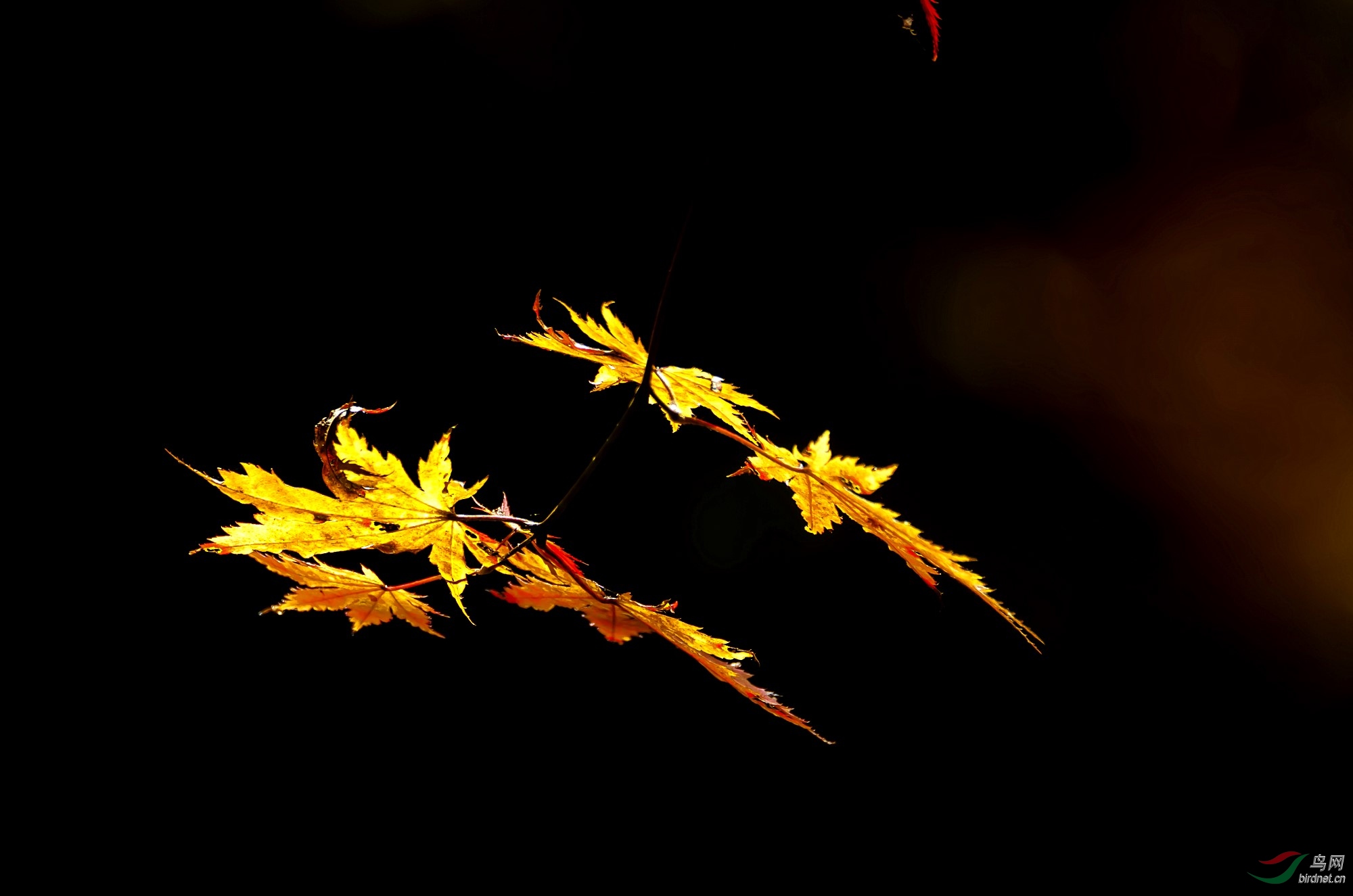 DSC_8935_����.jpg