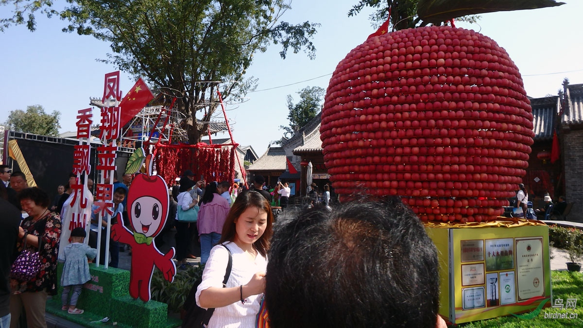 P9289783.jpg