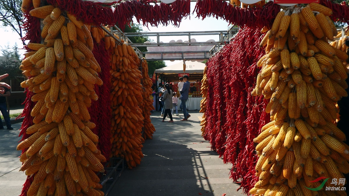 P9289787.jpg