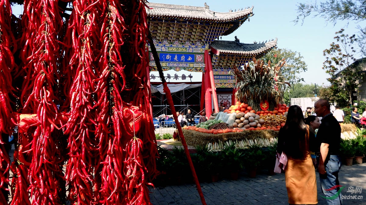 P9289819.jpg
