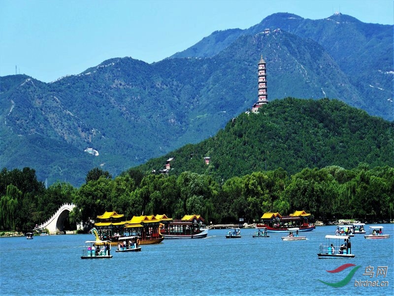 DSC08254 - ����.JPG