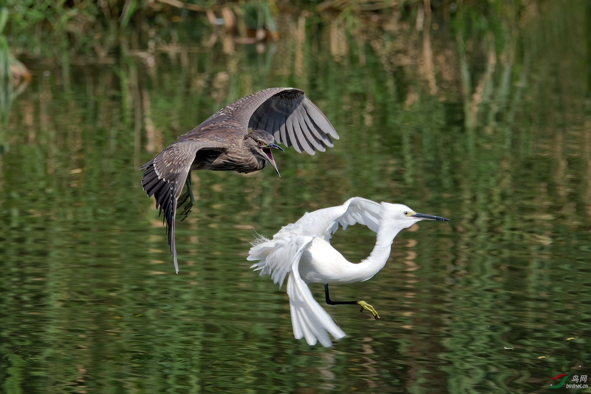 DSC_5470.jpg