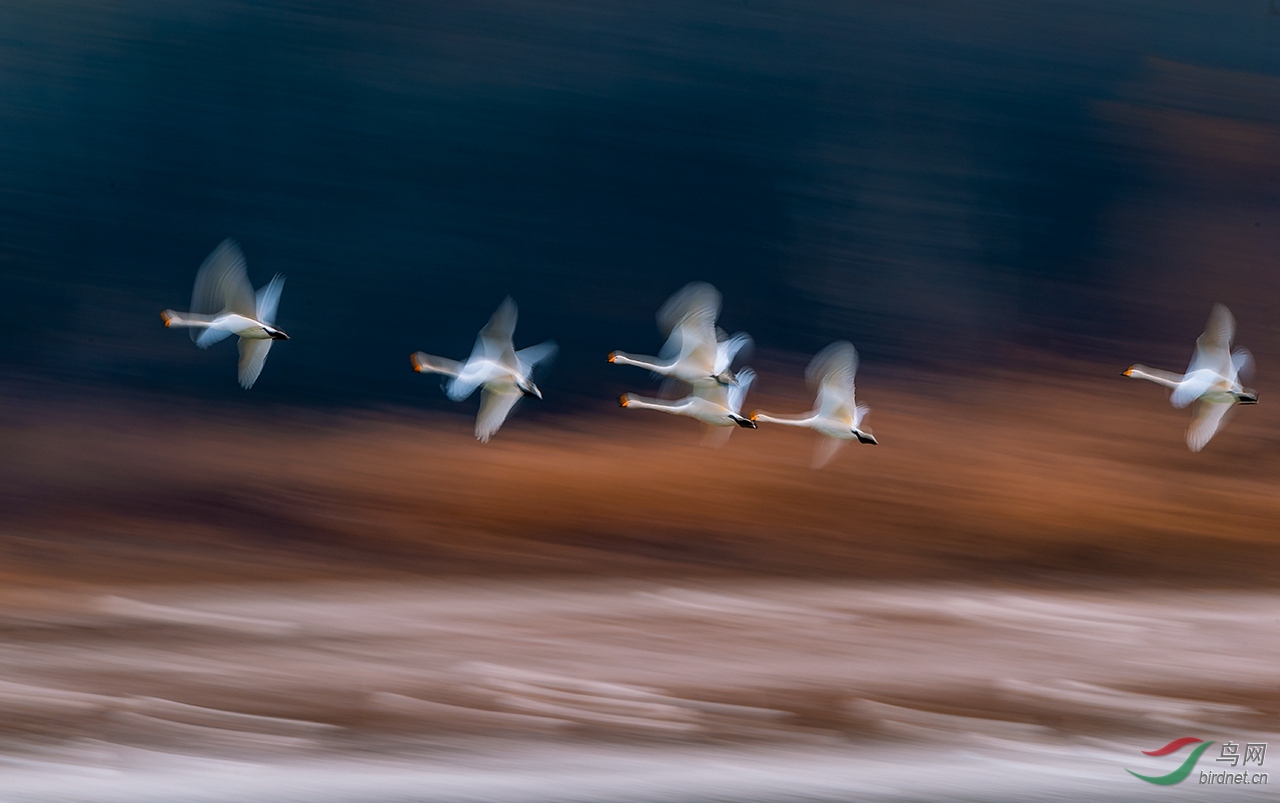 _DSC8879.jpg