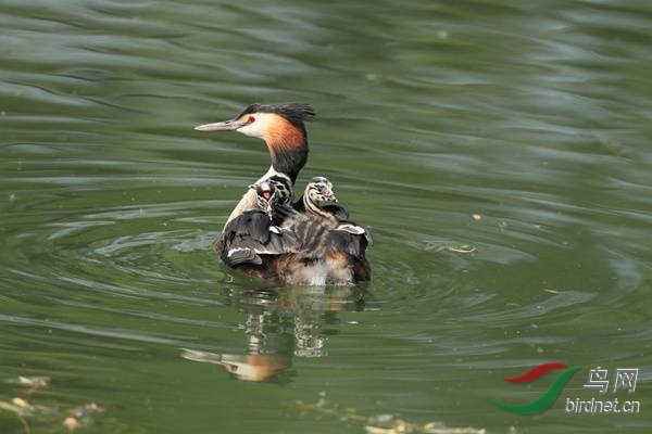 pta05 - ����.jpg