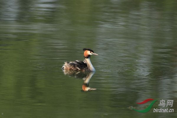 pta16 - ���� - ���� - ����.jpg