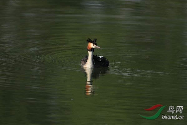 pta20 - ���� - ����.jpg