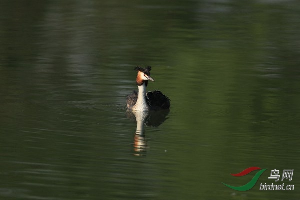 pta23 - ���� - ���� - ����.jpg