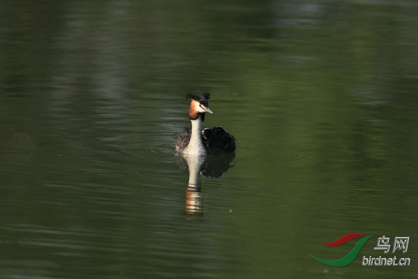 pta28 - ���� - ����.jpg