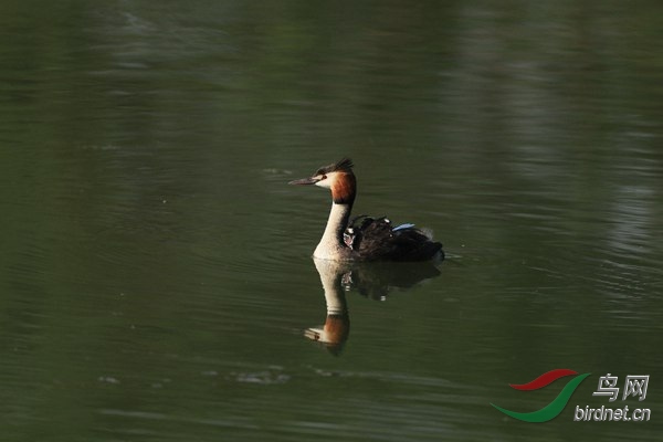 pta30 - ���� - ����.jpg