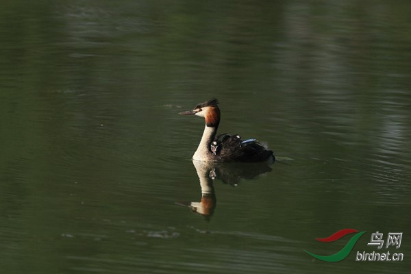 pta34 - ���� - ����.jpg