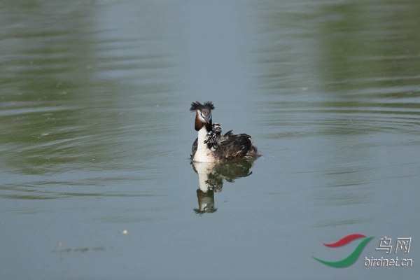 pta50 - ���� - ���� - ����.jpg