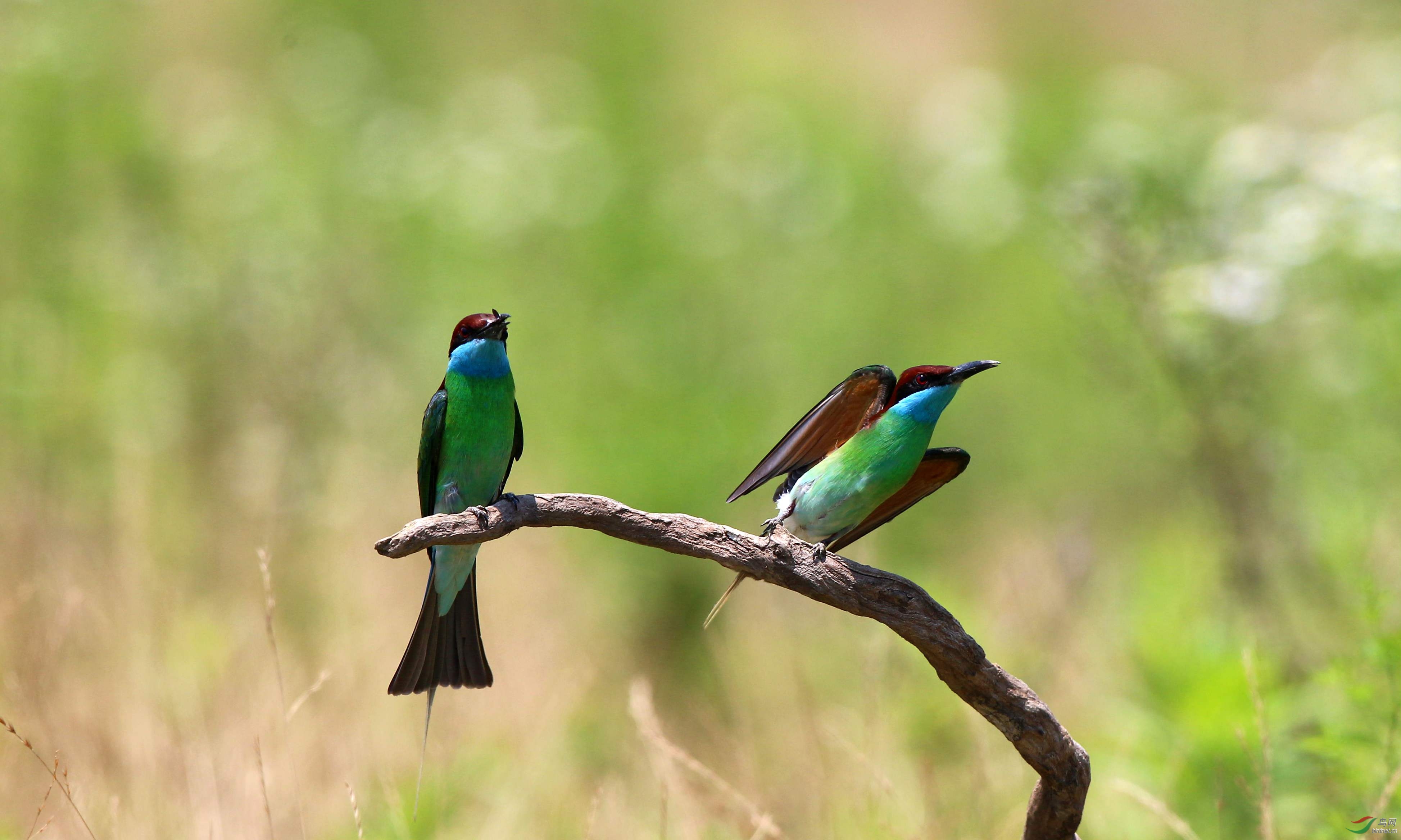 H46R5268_���� (2).jpg