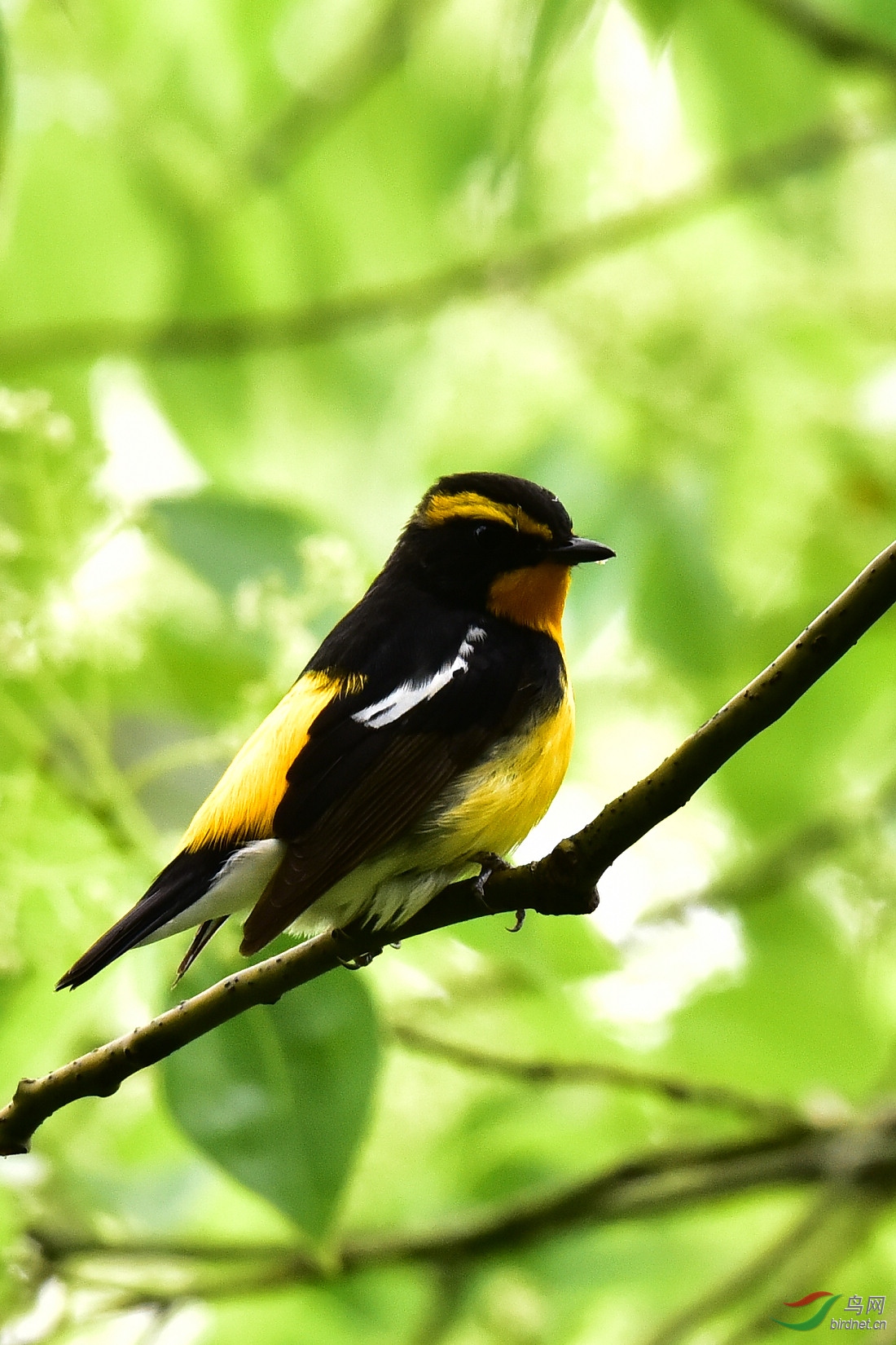 DSC_1183.JPG