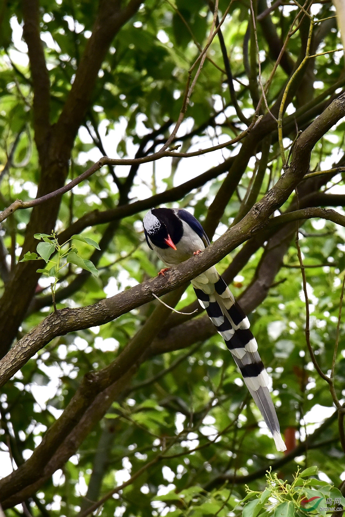 DSC_0414.JPG