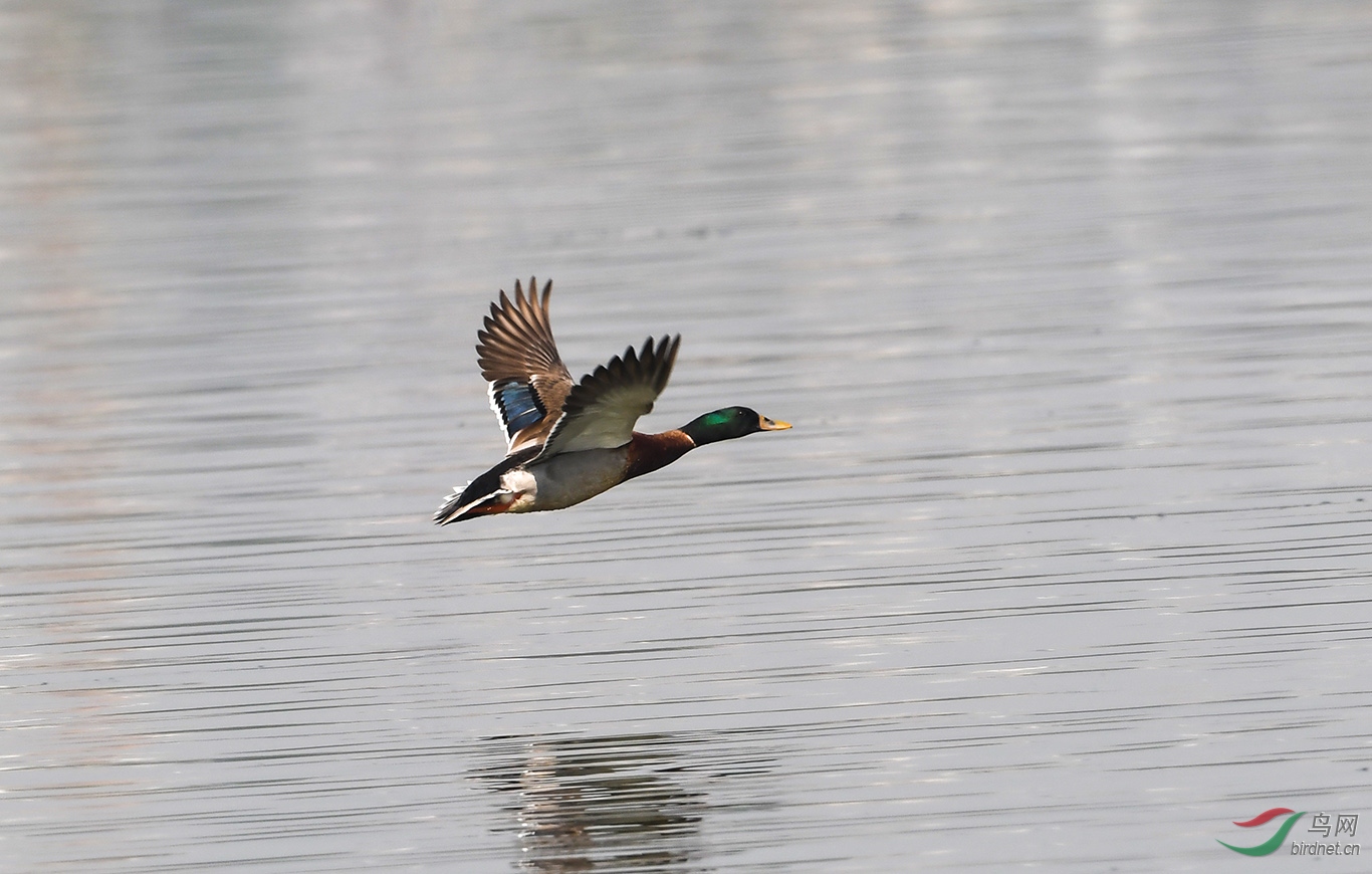 DSC_8177.JPG