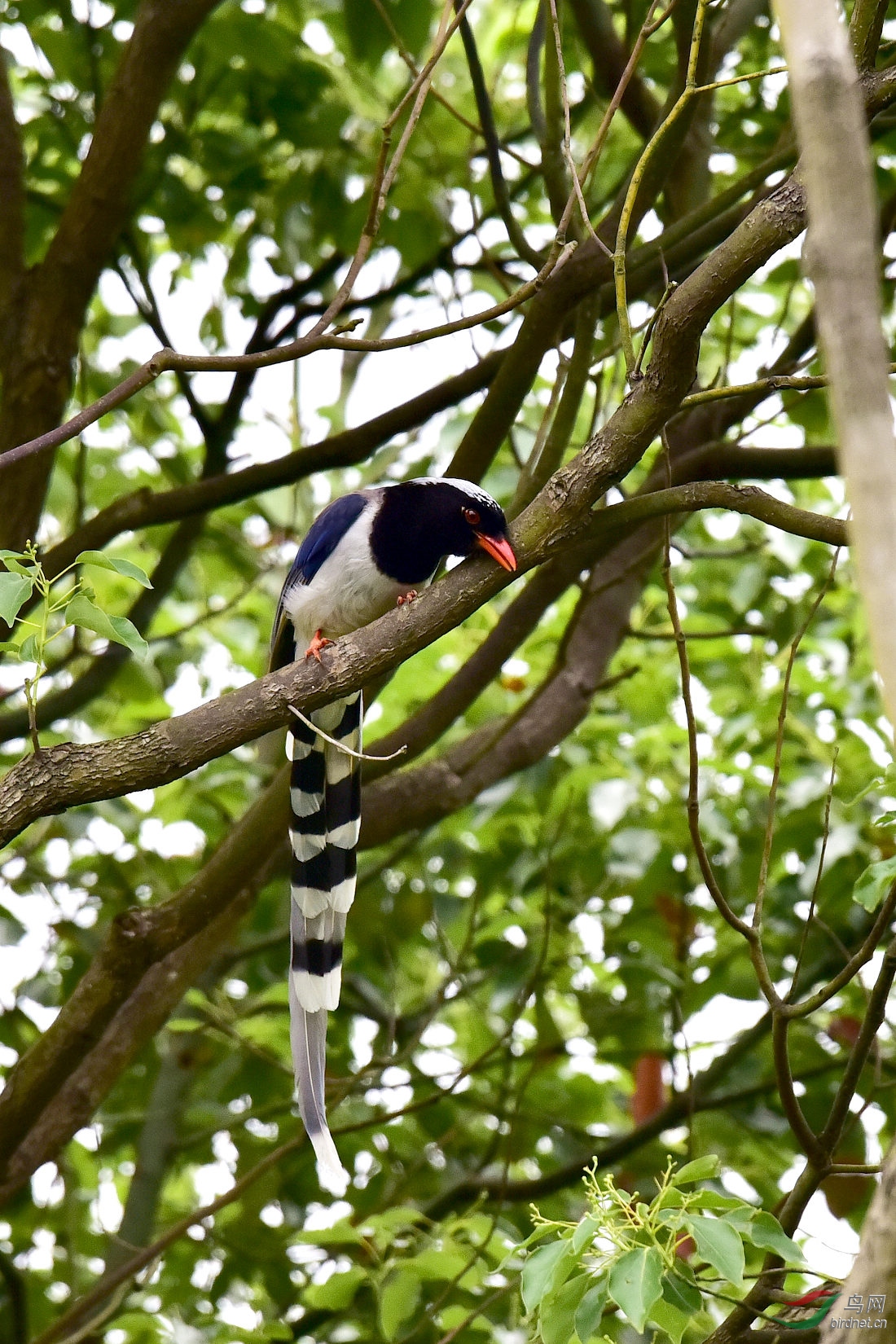 DSC_0416.JPG