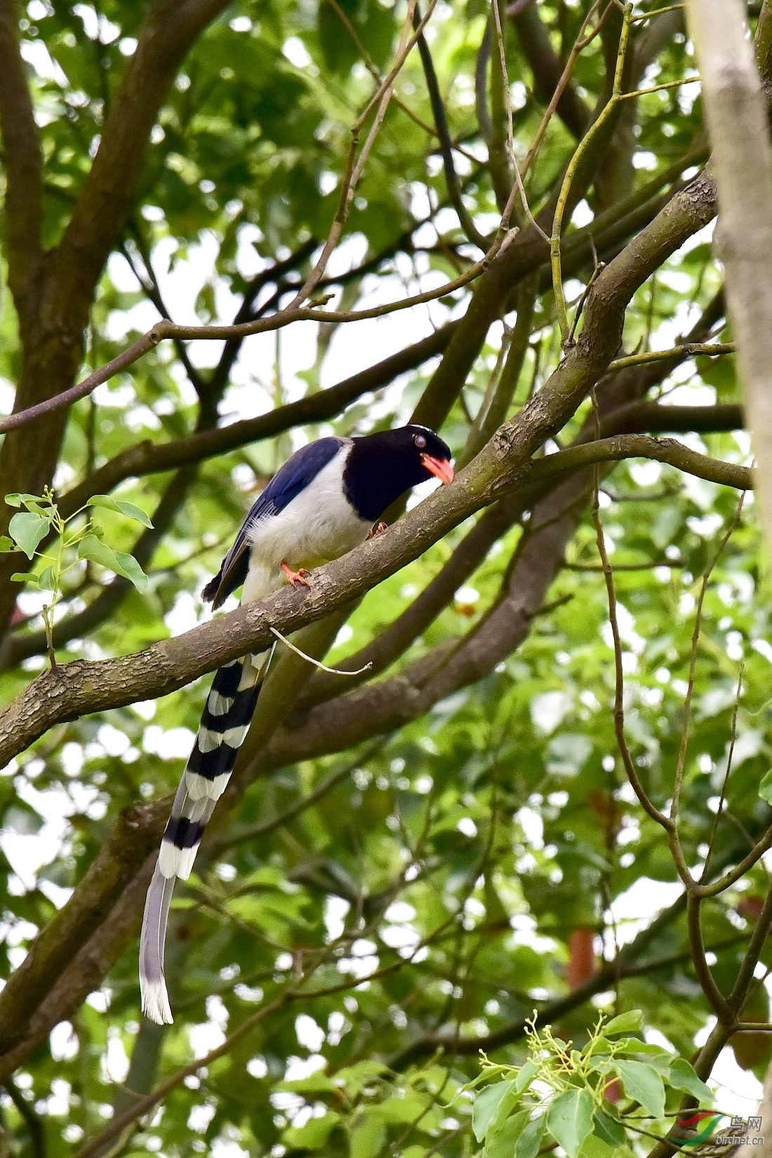 DSC_0417.JPG