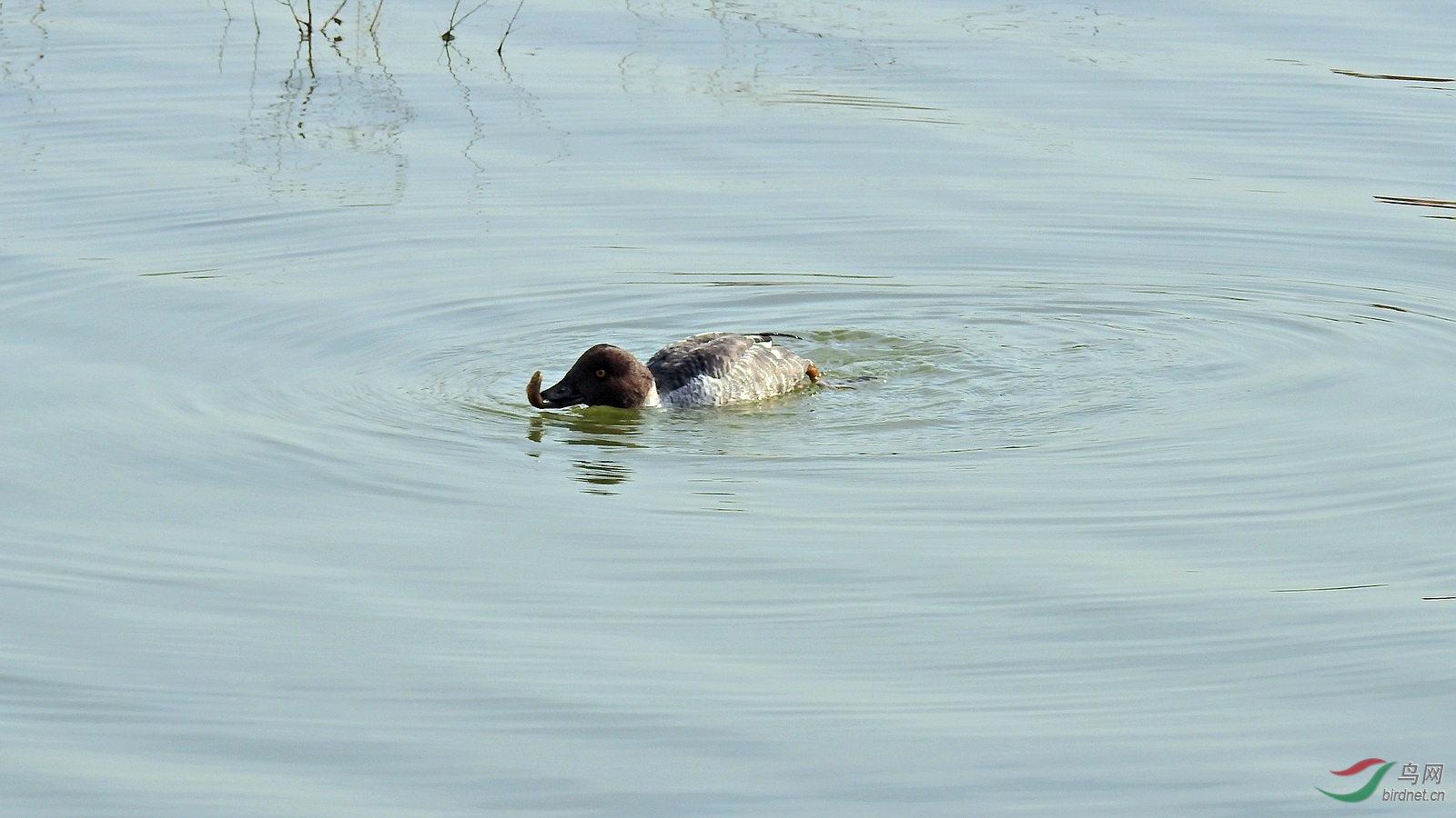 DSCN0366.JPG