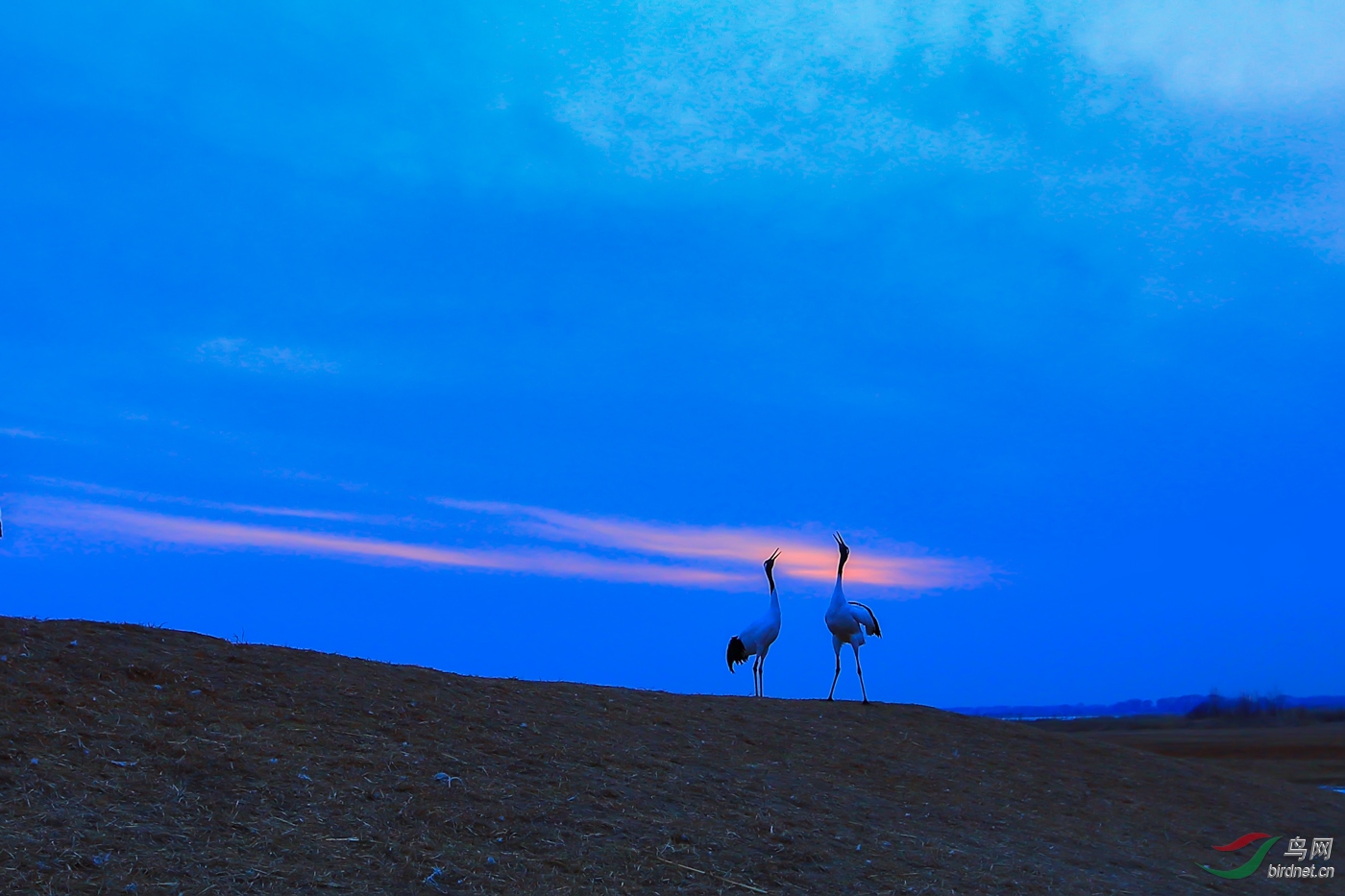 �볪���ҵ����----���տ��֡�