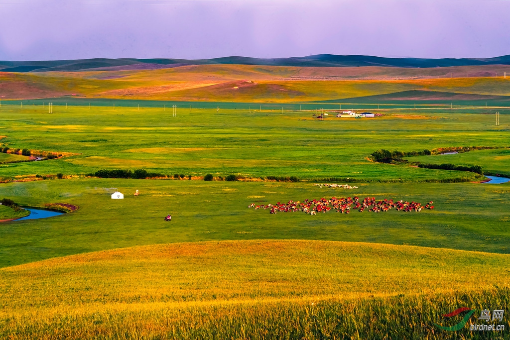 _K8I6533  02_����.jpg