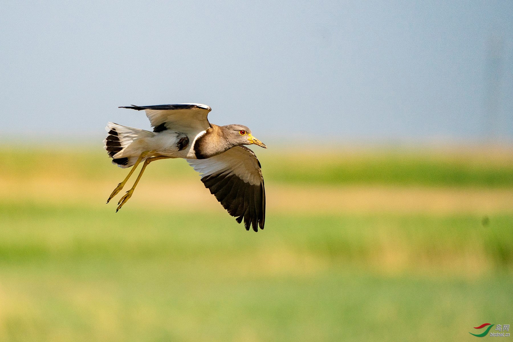 ͼƬ2 ����.jpg