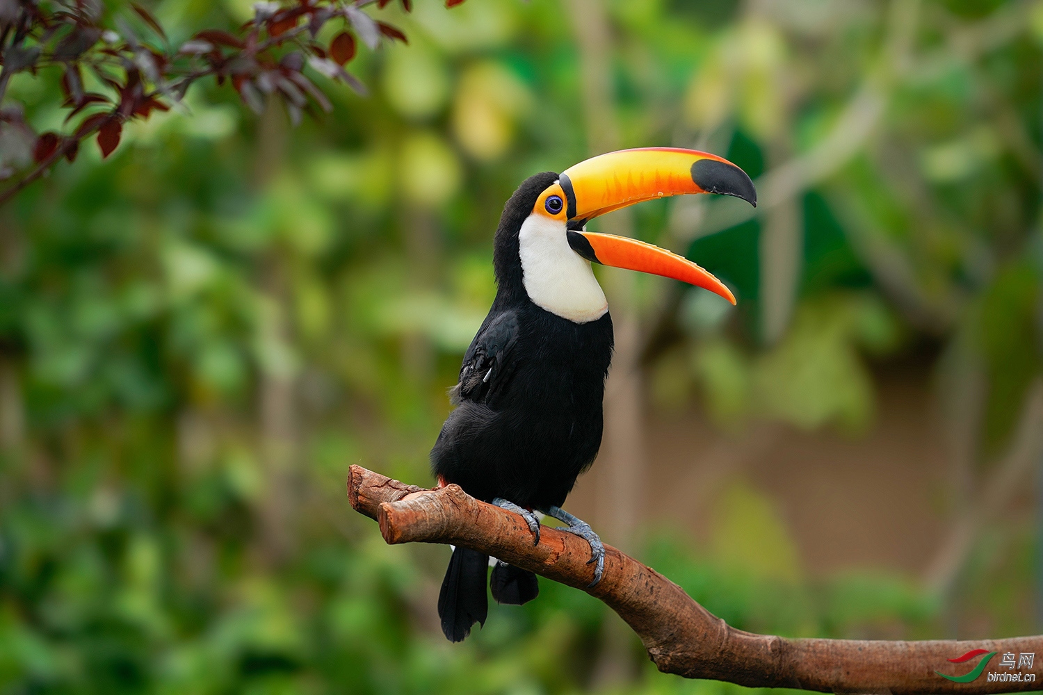 ͼƬ6 ����.jpg