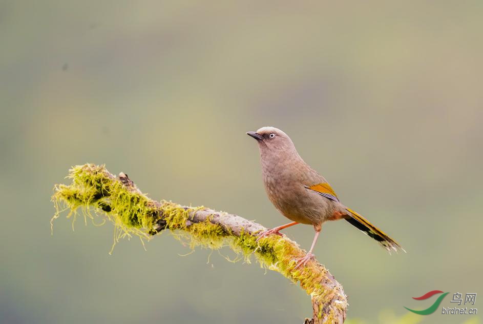 ͼƬ10 ����.jpg