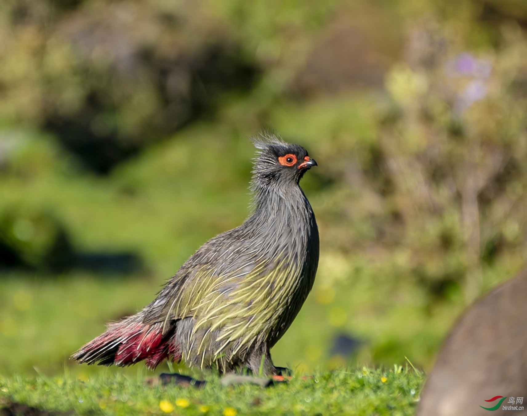 ͼƬ8 ����.jpg