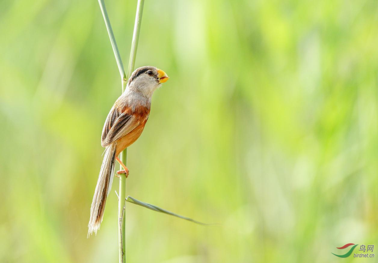 ͼƬ13 ����.jpg