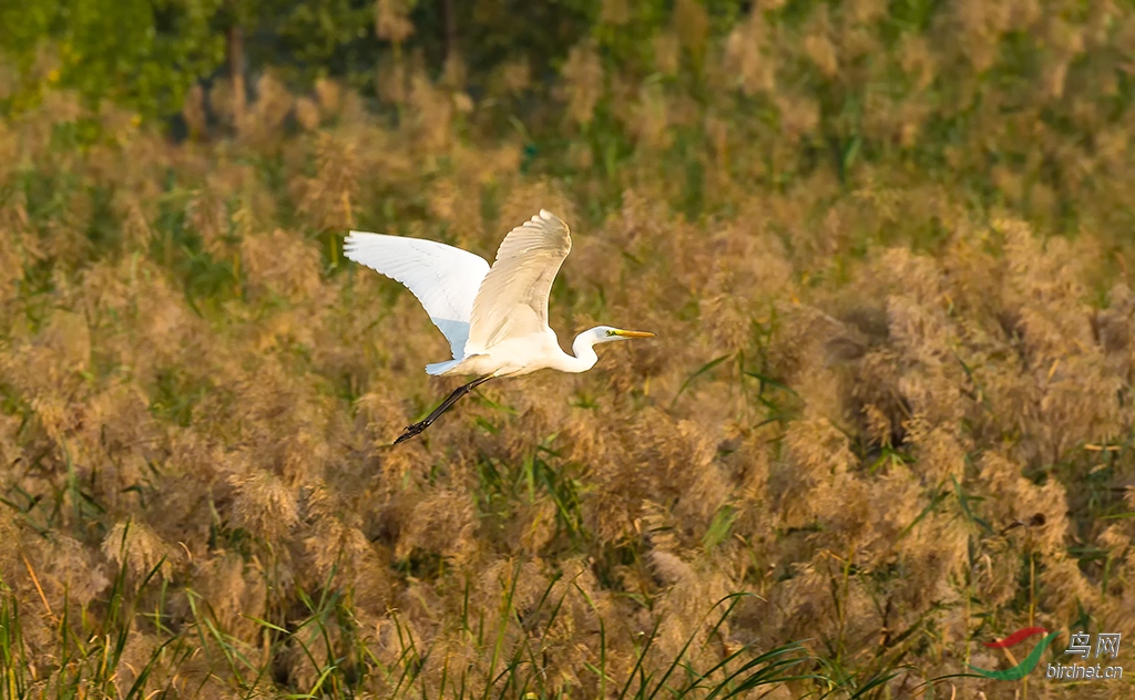 2019.9.29��Ӫʪ�� 0510.jpg