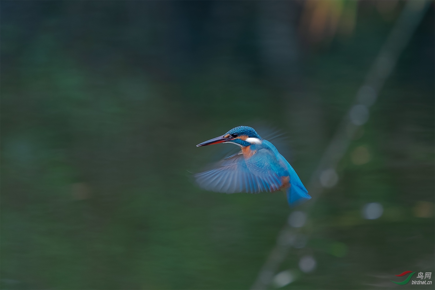 2019_DSC0137.jpg