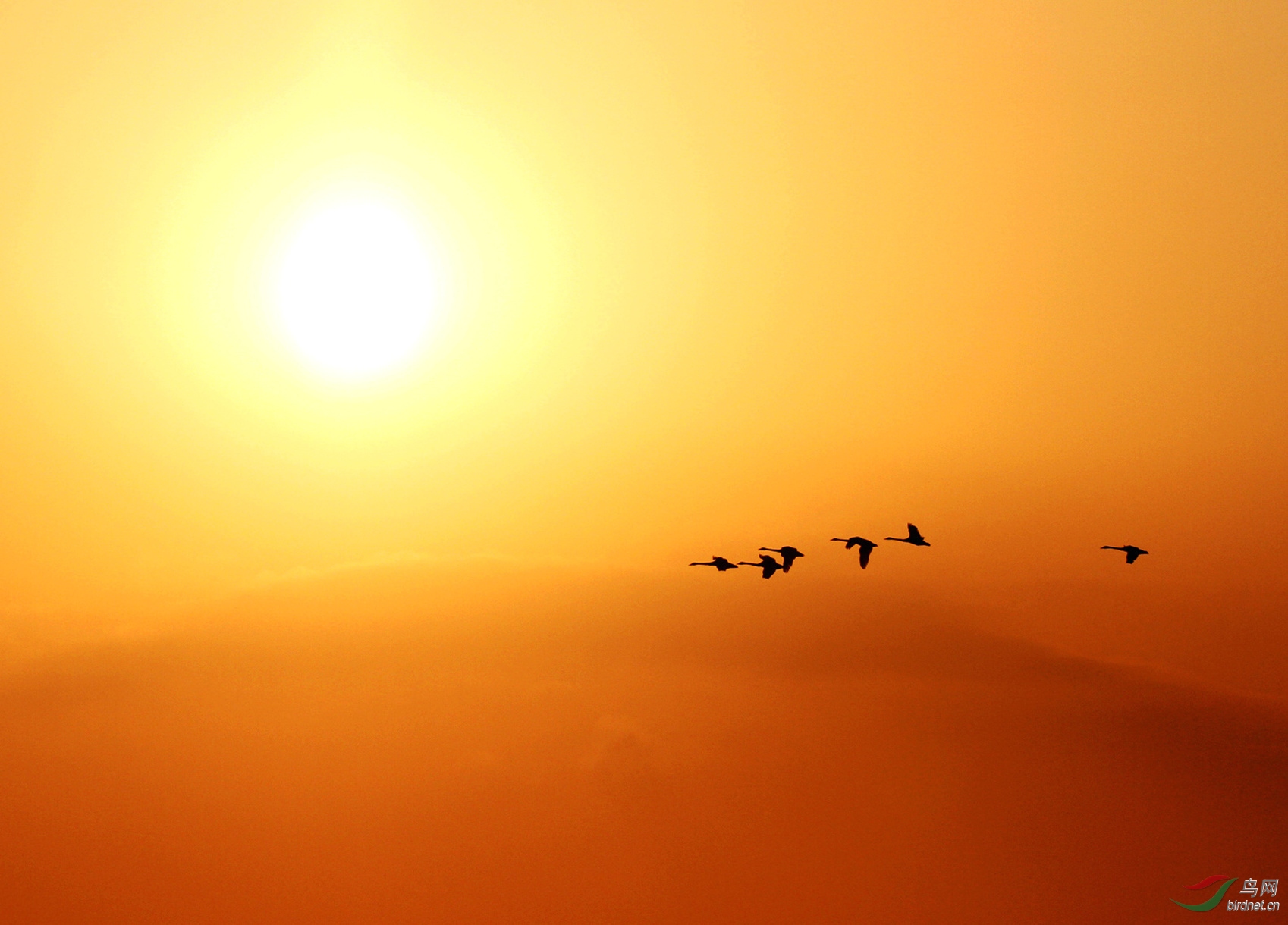 IMG_8616 ����.jpg