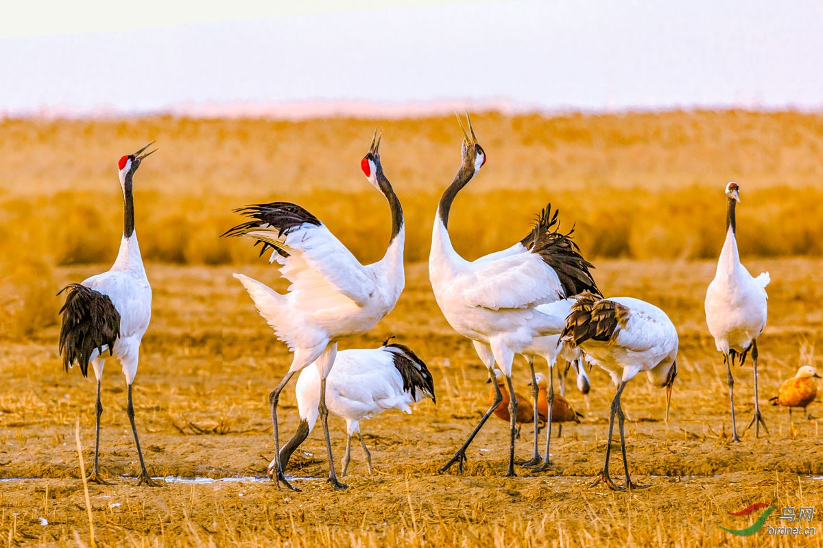 ��ͥ�ϳ�ͬһ�׸衰�Һ��ҵ������