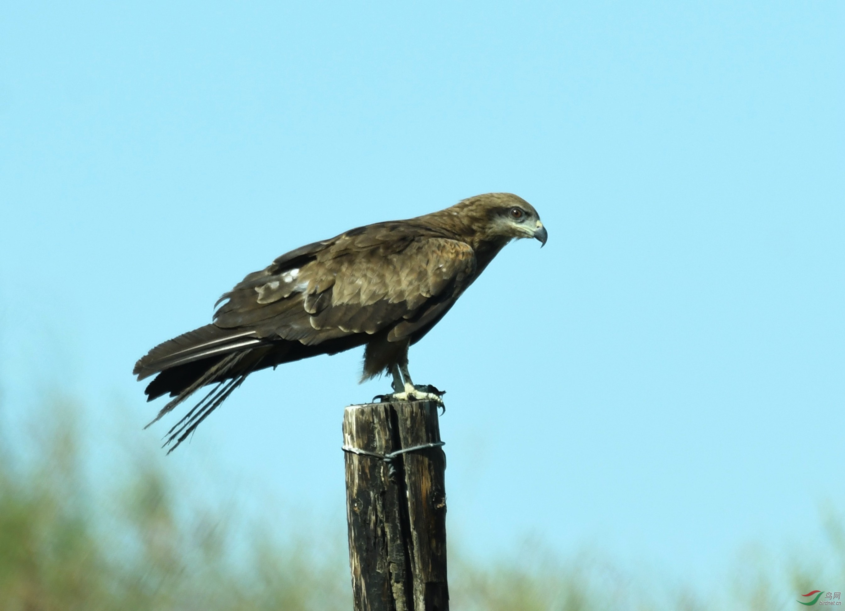DSC_2628.JPG