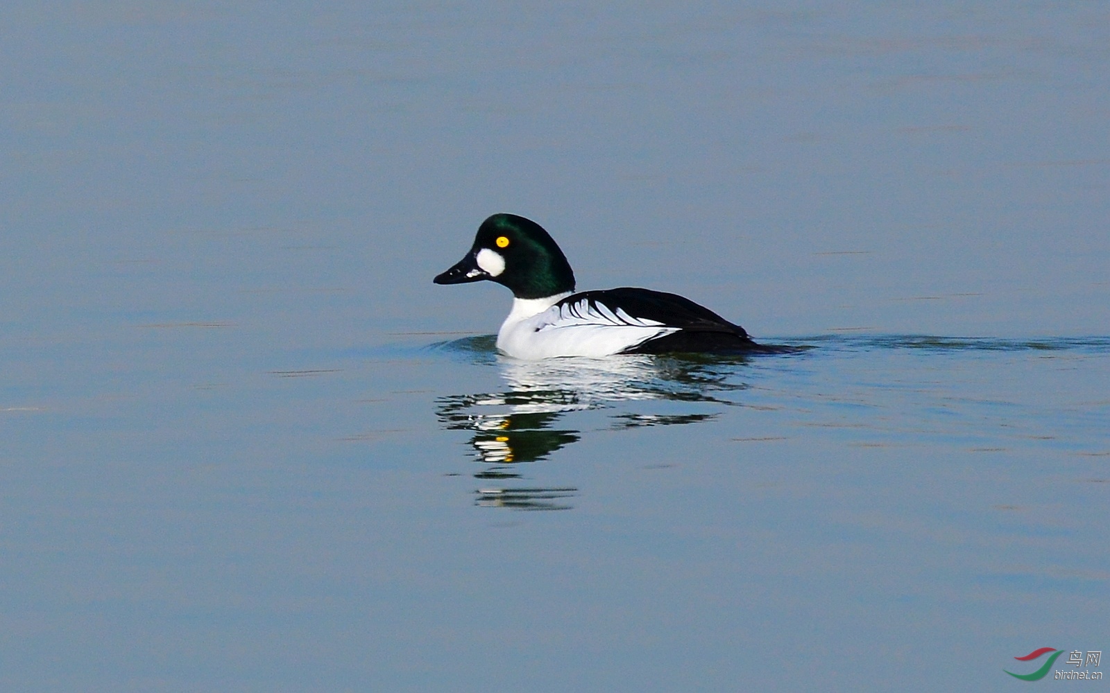 DSC_6526.JPG