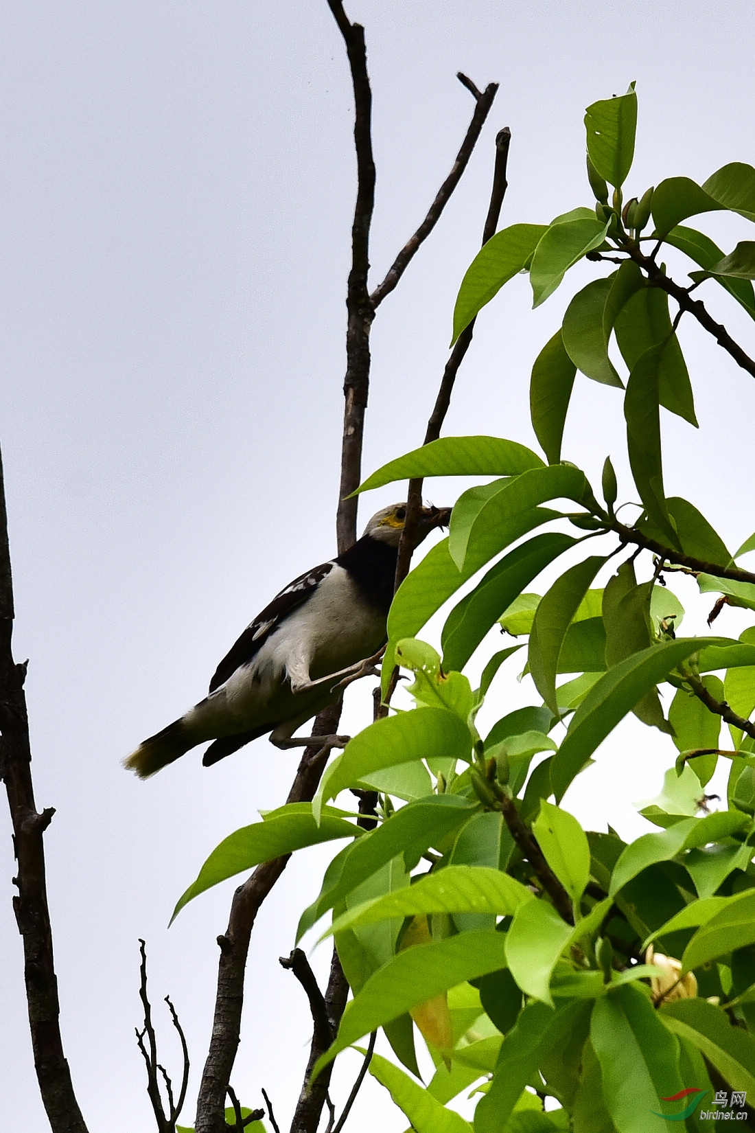 DSC_0012.JPG