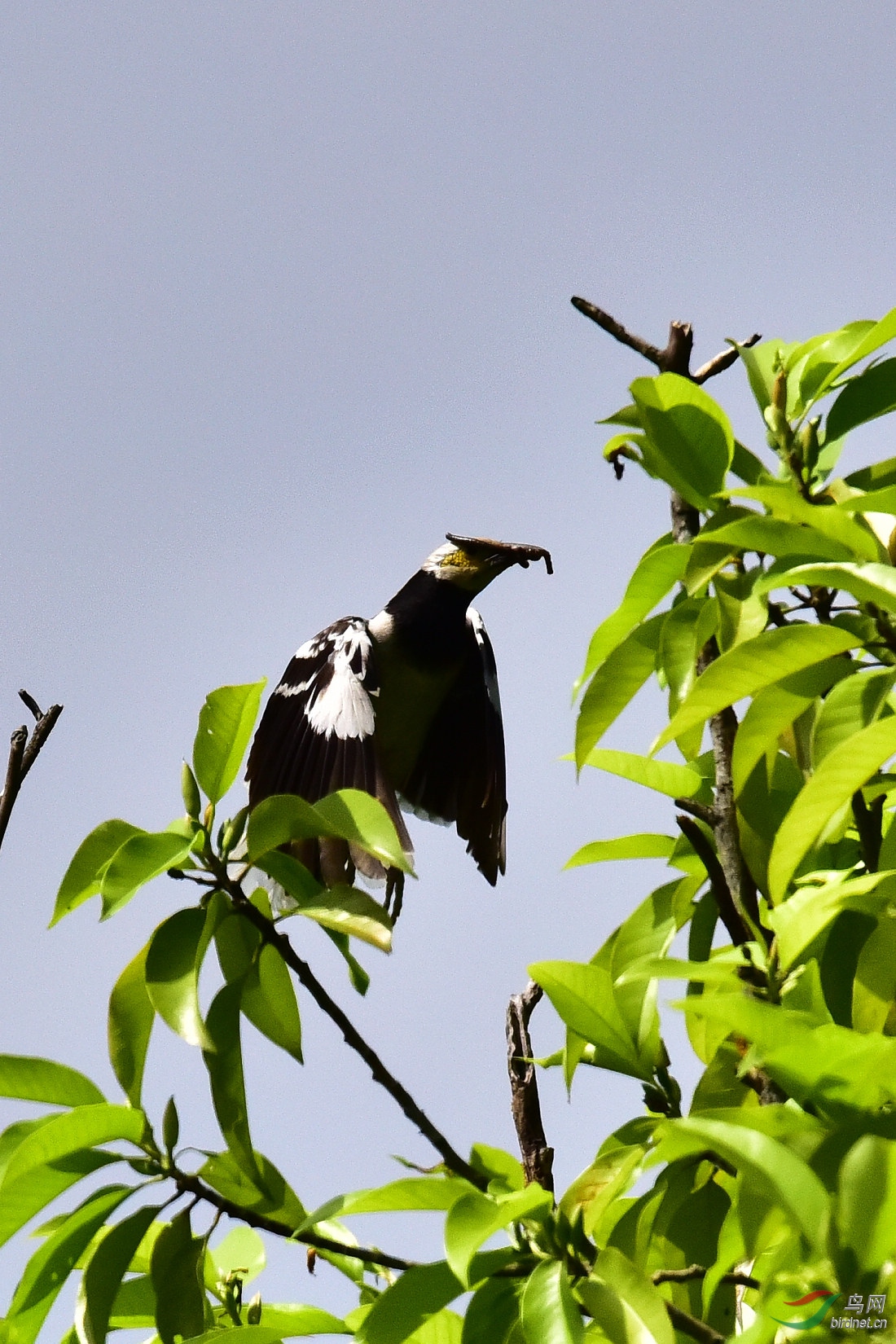DSC_0014.JPG